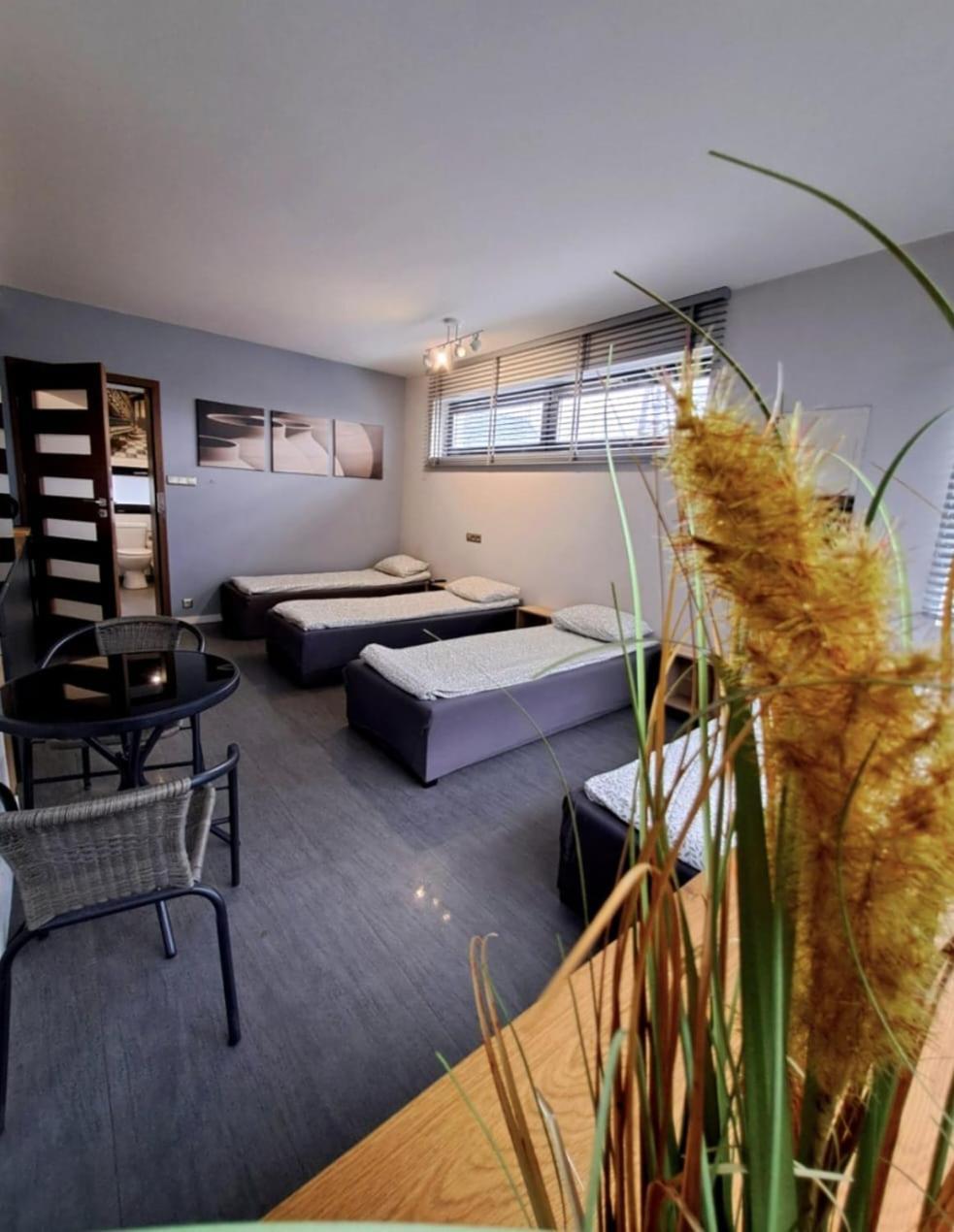 Apartament Studio Piano بوتسك المظهر الخارجي الصورة